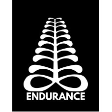 ENDURANCE