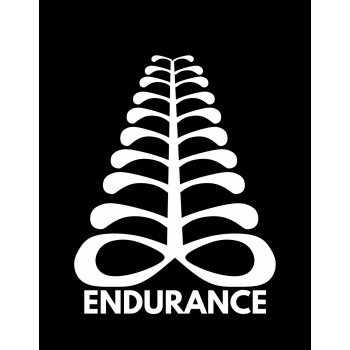 ENDURANCE