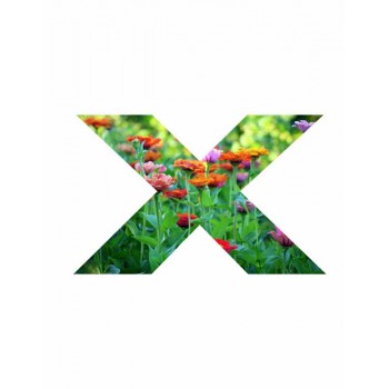 XFlower