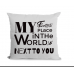 Throw Pillow